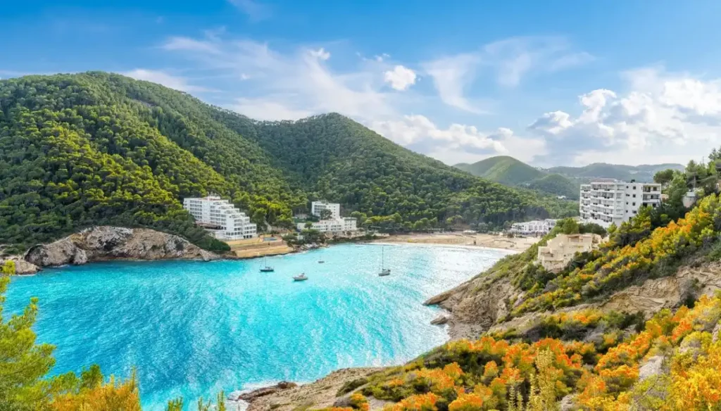 Raggiungi le meraviglia di Ibiza con i traghetti Balearia, acquista i biglietti nave dal Portale Sealines