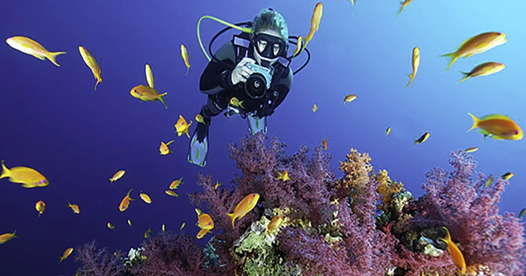 Le limpide acque dell’Area Marina Protetta di Ustica, un paradiso per gli amanti di snorkeling